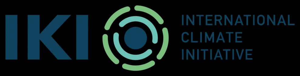 iki logo